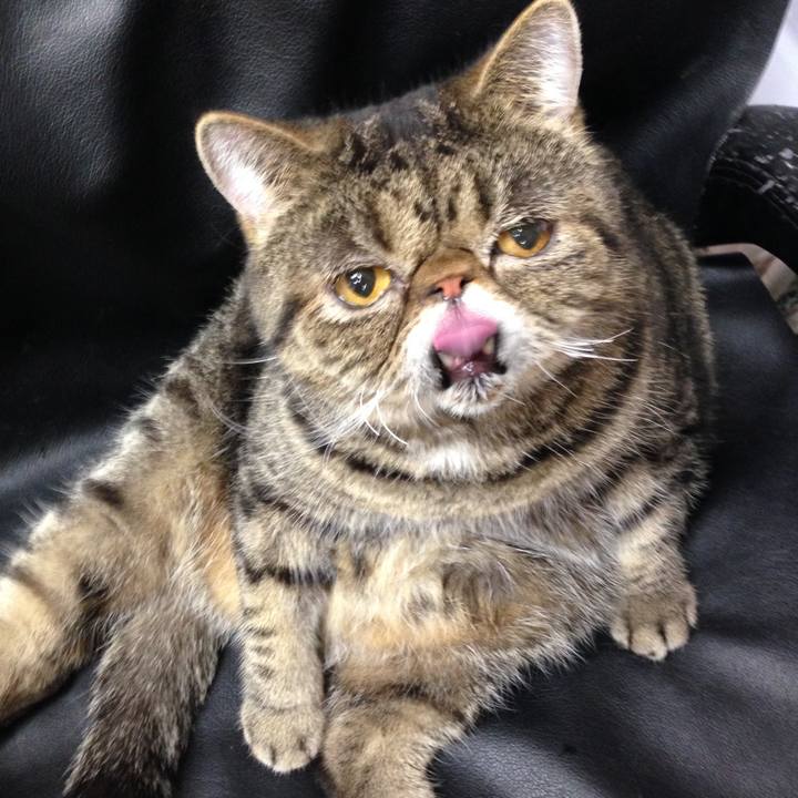 Ea8a770c 7008 499c 8521 526034a3e49c