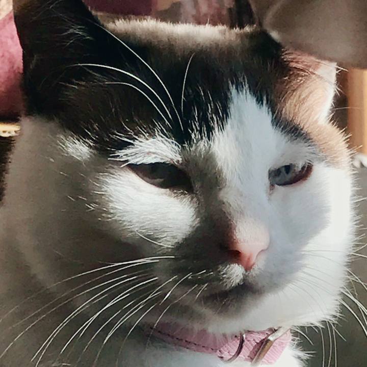 Ea8a8223 06ab 4e96 b0e7 ff7b0fb30c43