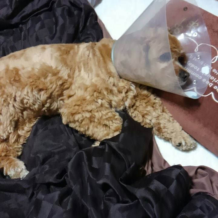 Ea8ab7c1 96a1 4549 8db6 eb1200ef9005