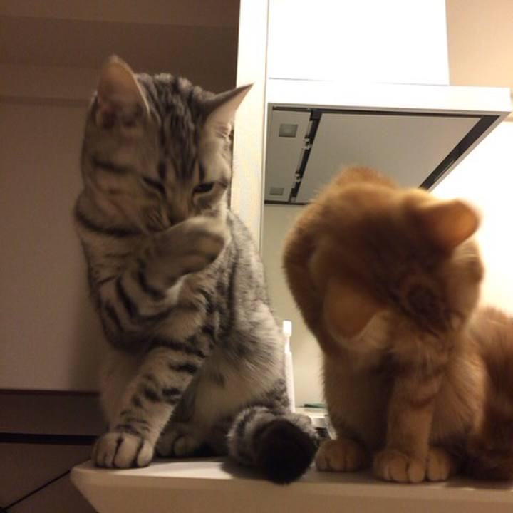 Ea8b2dd7 e1f8 4661 ae36 470da490ce78