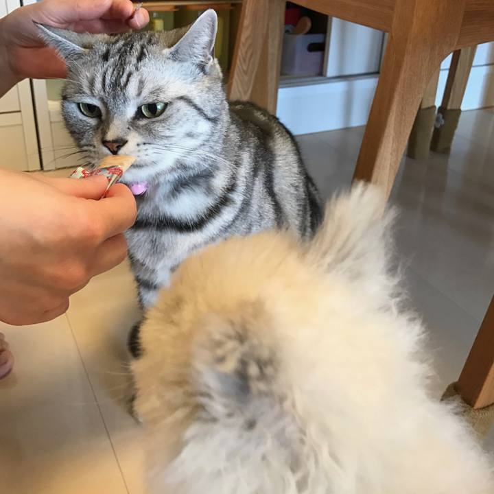 Ea8d5376 5d4d 4039 ba72 077915ab02d0