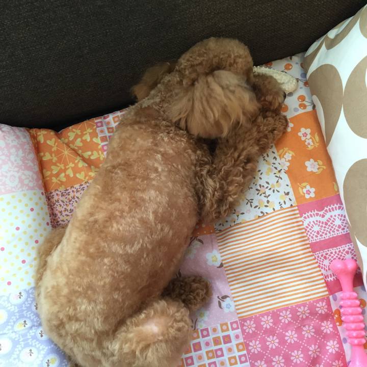 Ea8d6c04 de98 4c34 9163 f77f31894042