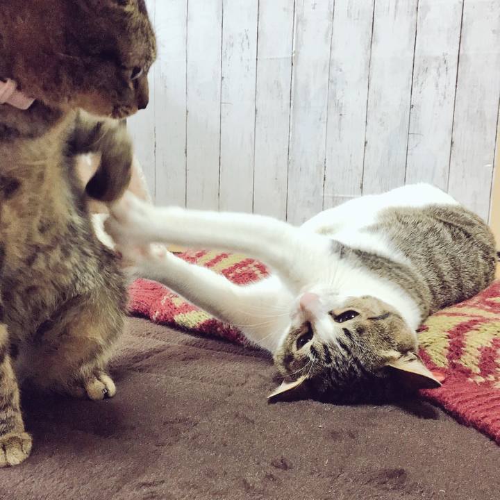 Ea8d7bb5 776e 4daa a7a9 a5a275d9d5ce