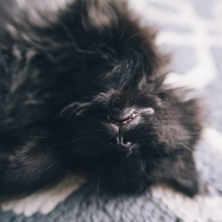 Ea8d7d2f 9697 4b0f ba2c f2720cde3255