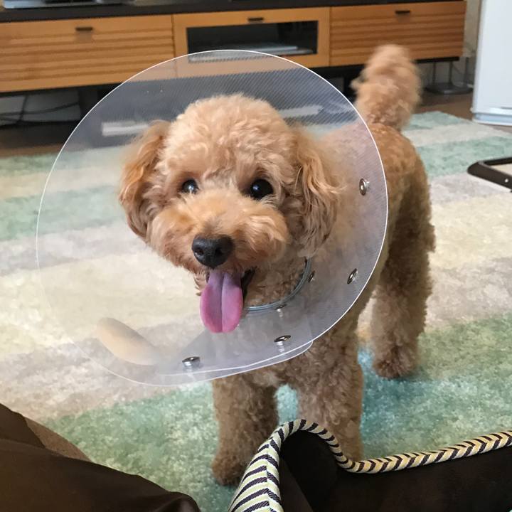 Ea8e376b 18d8 4272 804d 95881af804d0