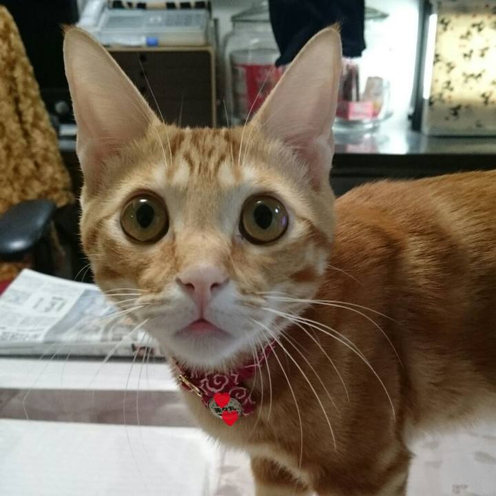 Ea8e6eea 37f9 47eb b175 df90fca33d13