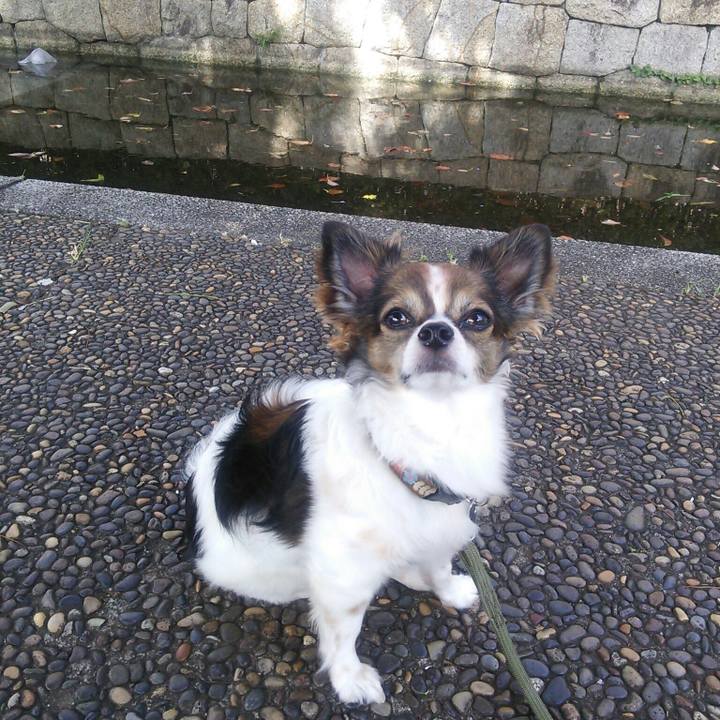 Ea8e6fe5 a826 42d4 b3fe 6c11f46911e6