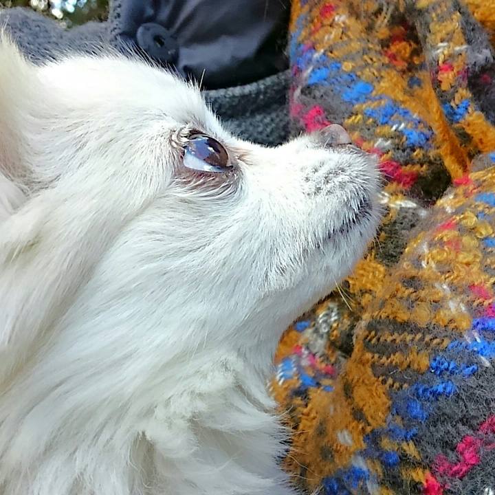 Ea8e85c5 1d74 4c79 bb5f c684d1a44b61