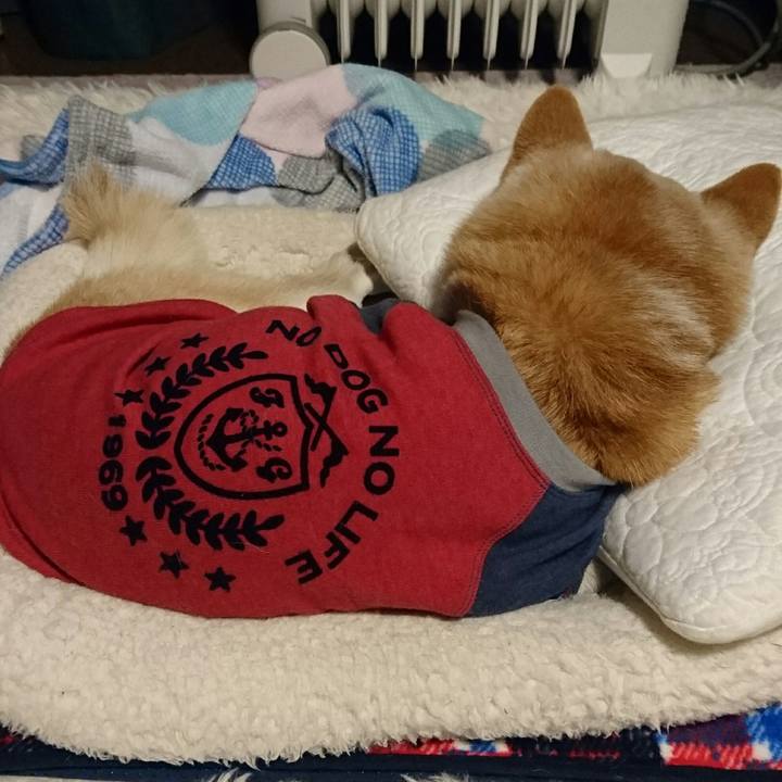 Ea8e9b7a 6e0e 472b 8726 b2cf99e53bc3