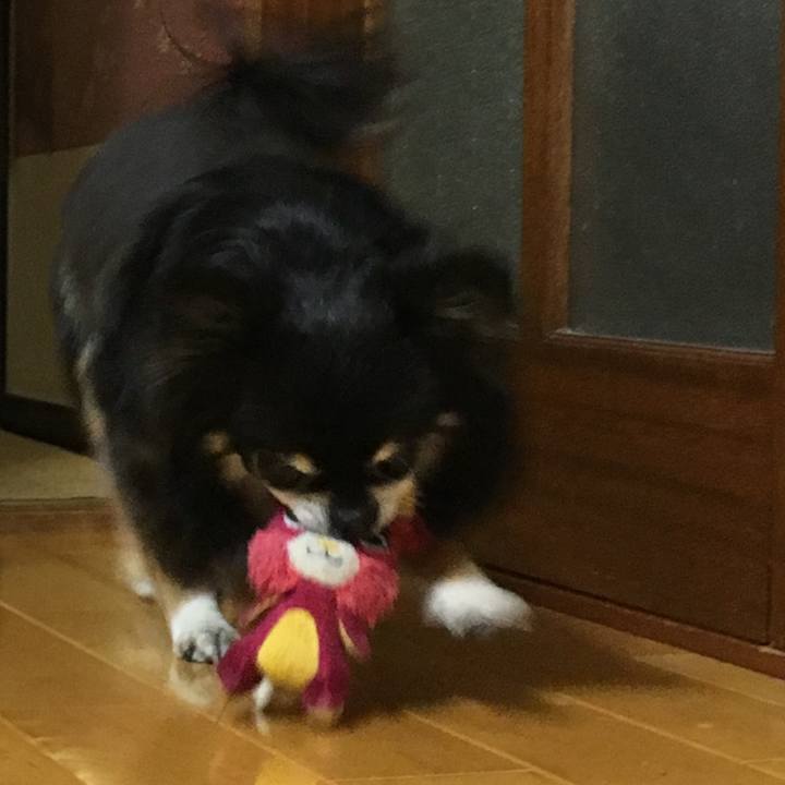 Ea8ef85a e4f8 4b4a 9a46 1aaf40e9e9eb