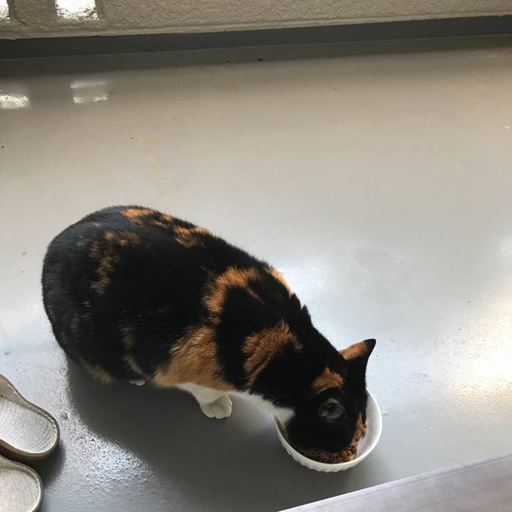 Ea8f2938 a7c8 4c2d 8c43 28cd0dcf947e