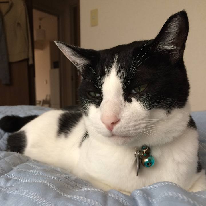 Ea8f7b6d 629b 40e1 b4ee 1b9fec8f6031