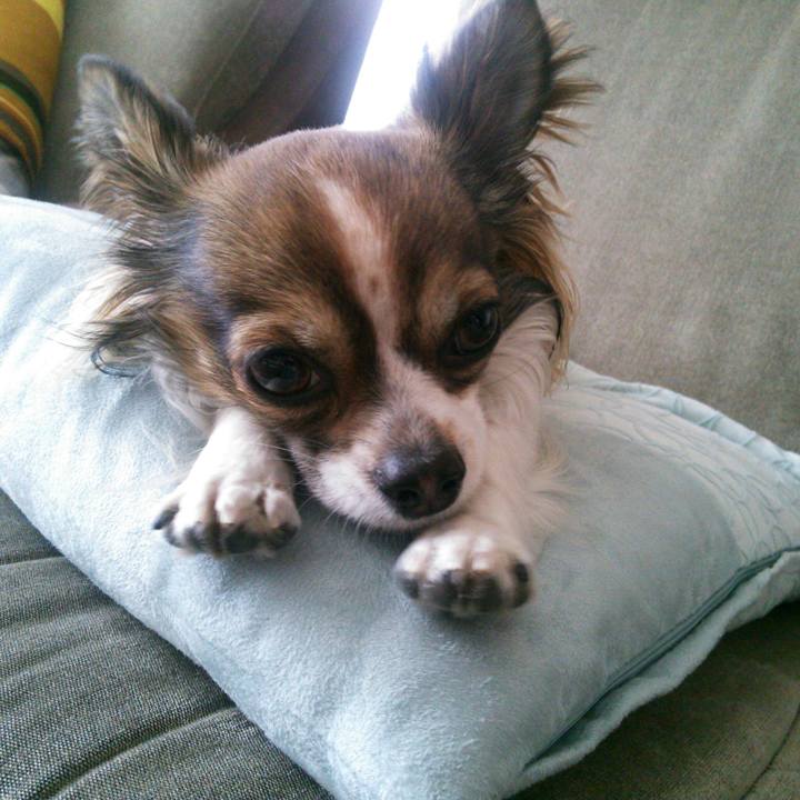 Ea8fa5af 3a72 4041 8a97 e17ff3426242