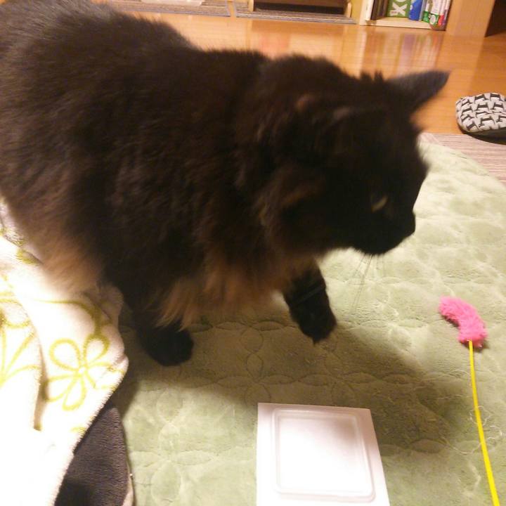 Ea8fd91d 3a44 4d81 b398 036c90b49b52