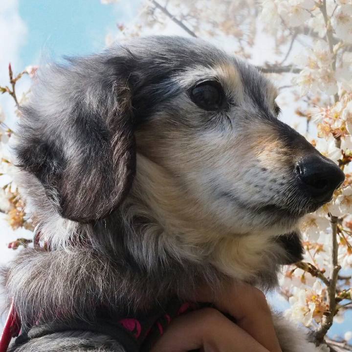 Ea8fff4b 73ce 4e67 996b ebaf739146d2