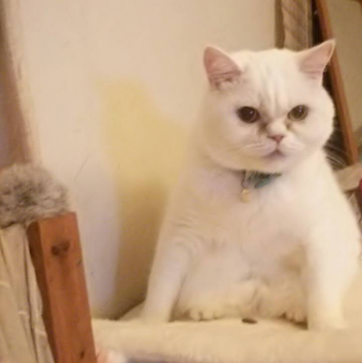 Ea90839c f7b1 48d2 aa53 6f595f7104a1