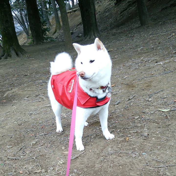 Ea925702 55db 41bd 84a5 0cfdc5c0e5fd