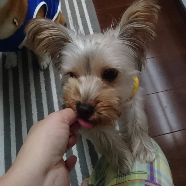 Ea929470 db58 4364 a1cc 42868169fe19