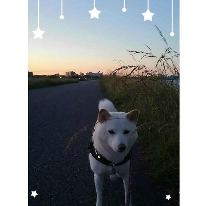 Ea93b16c 656a 4243 8355 dc92f18adf81