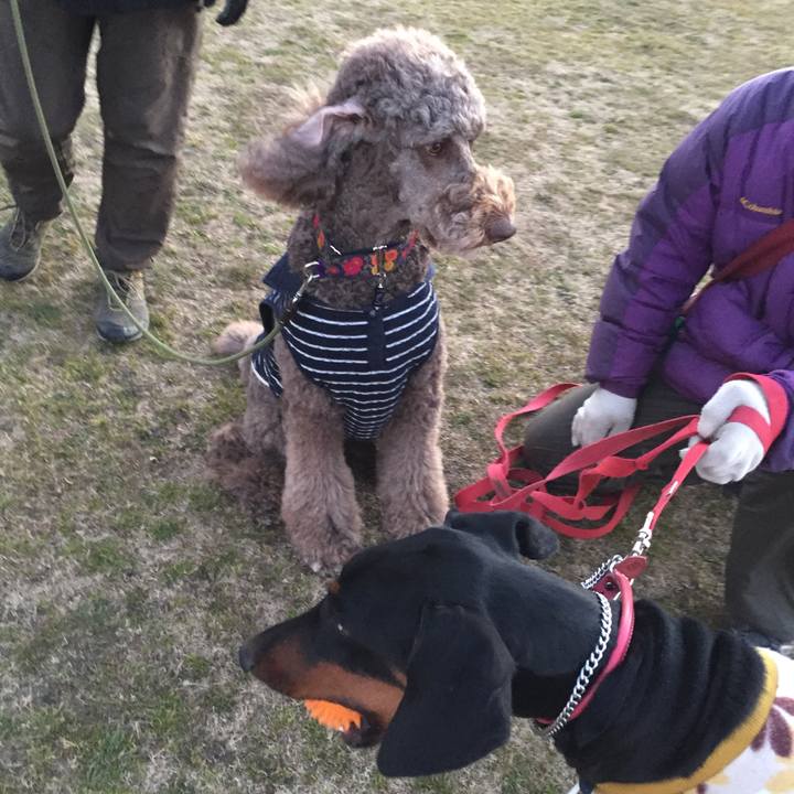 Ea93b6b7 11cf 4de2 95b9 160915ec45d9