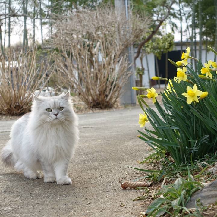 Ea93c8fa b486 4fba 8dd6 81e3e2d19625