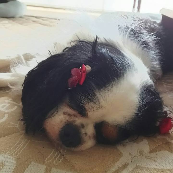 Ea949111 84b4 42da baff 7f2c3de317e0