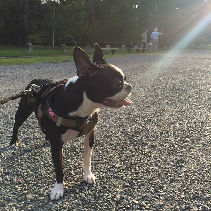 Ea94eeb8 30ed 433b a1ab 26534d41a144