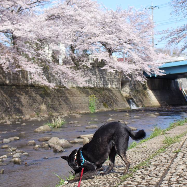 Ea951a02 14eb 4a38 be45 a6a98e578544