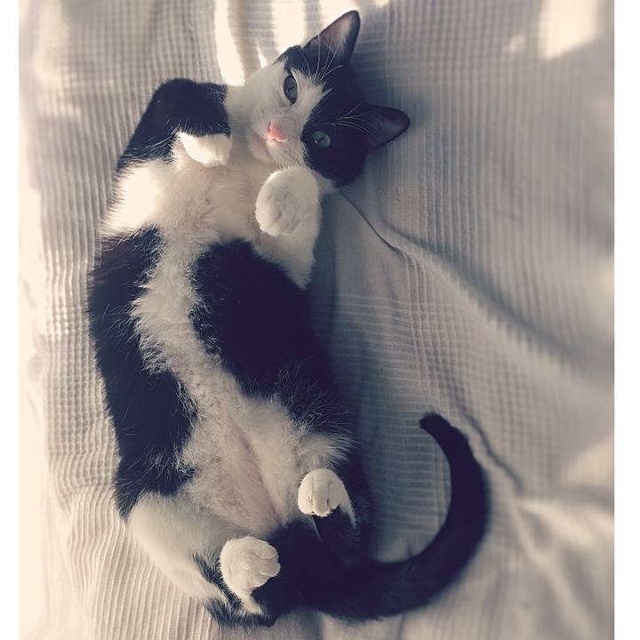 Ea95d43c fabf 4f8d b066 14dc9f296c4d