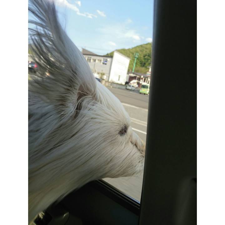 Ea95dde7 5d3b 47b3 8ef4 fc01f2aba8ee