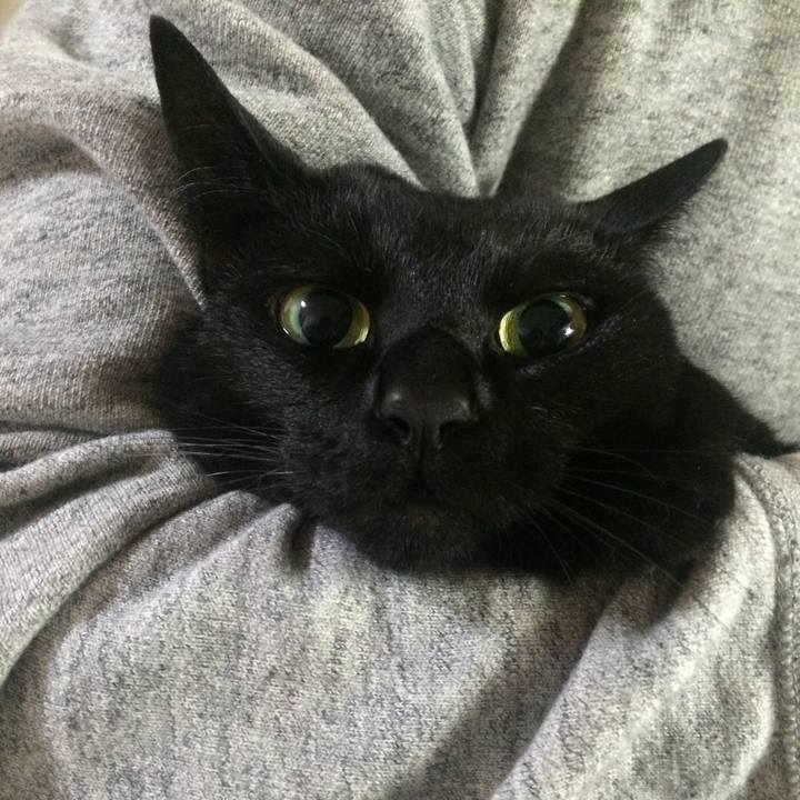 Ea961b79 949f 4504 a36a 4fbc1c59621d