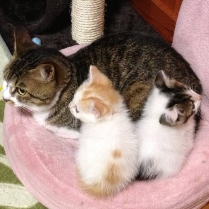 Ea967918 6572 42de 8340 20cf8c171754