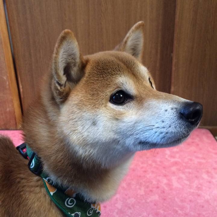 Ea9696a7 9890 4b10 a098 91e211f7cabc