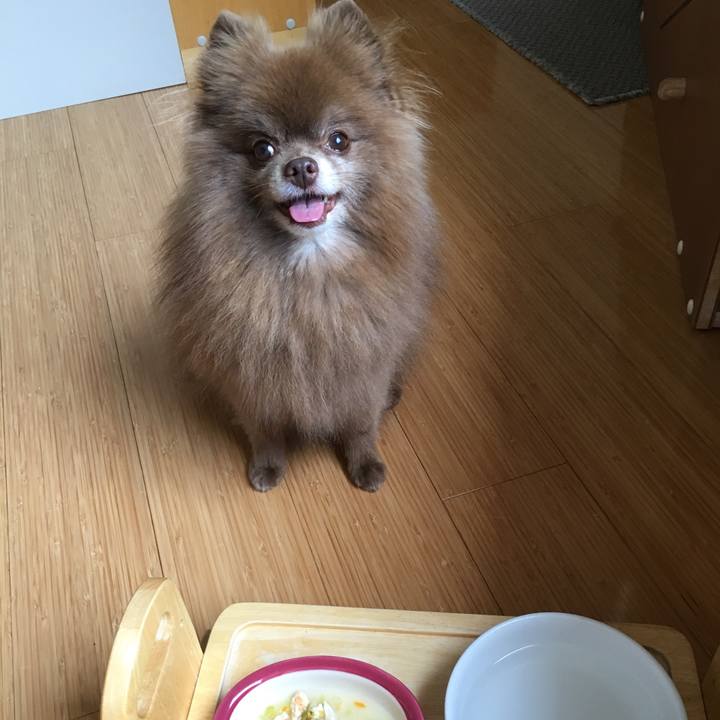 Ea96c1fd 626f 44dd 81cb 2e59d08cb190