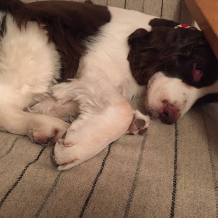 Ea971f57 e680 4e6d 82bd 71839daad514