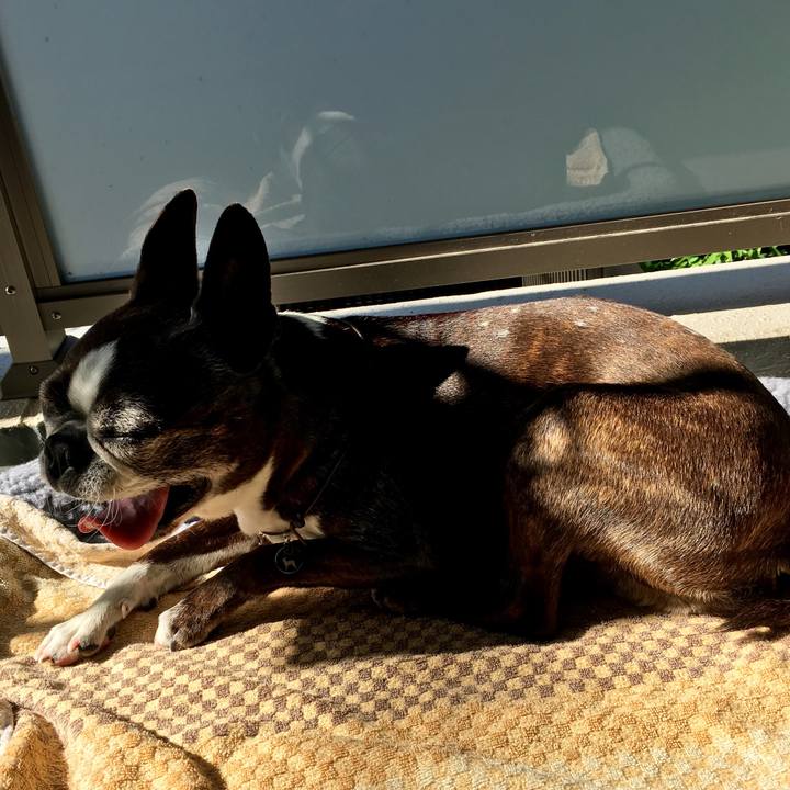 Ea976141 1823 40e0 8aa7 06b7fb59195b