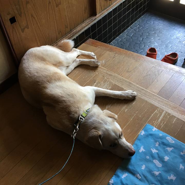 Ea982105 3a78 4c8b 9238 e6ed8b834414