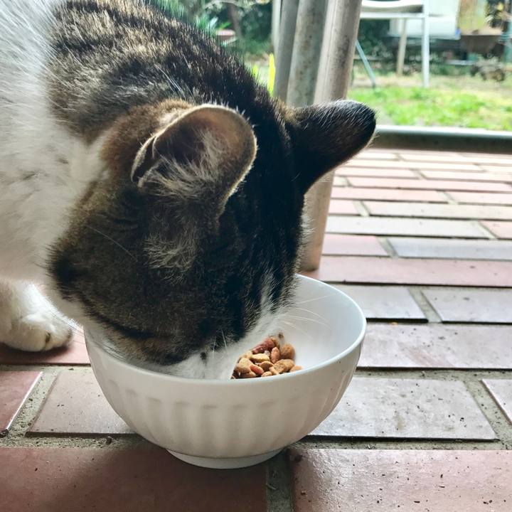 Ea985ae4 bf47 47f1 8632 79ba8023de85