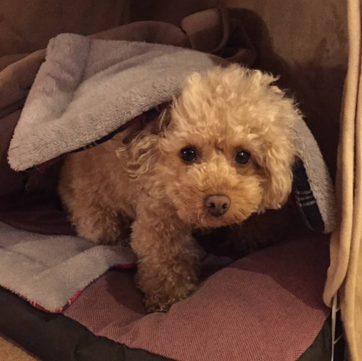 Ea98d65e 395d 43af 8f78 34bd47201782