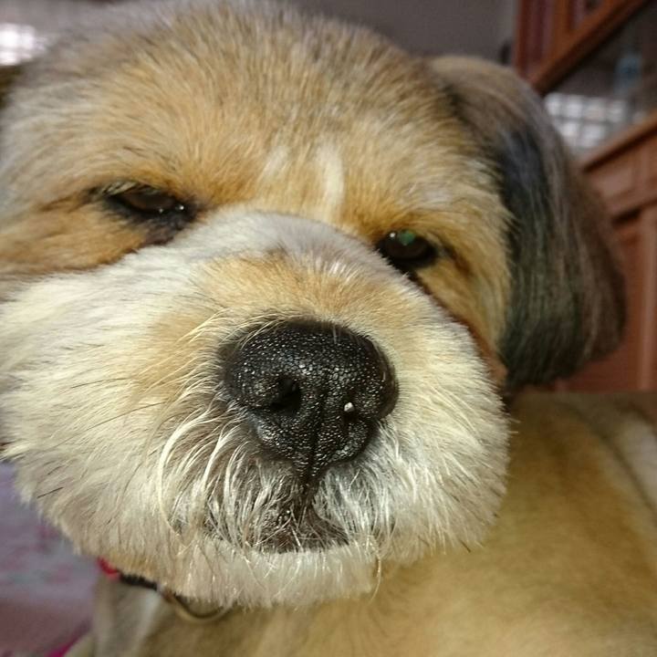 Ea9a0721 cb07 49d9 b119 8d9561e0036e