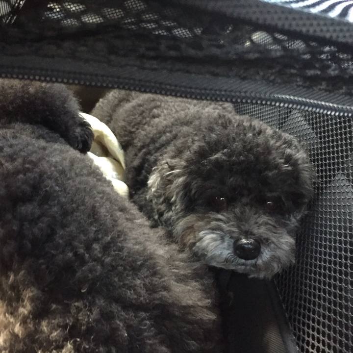 Ea9a1dc6 c0a3 4ac2 ace1 e66aa41d1ffa