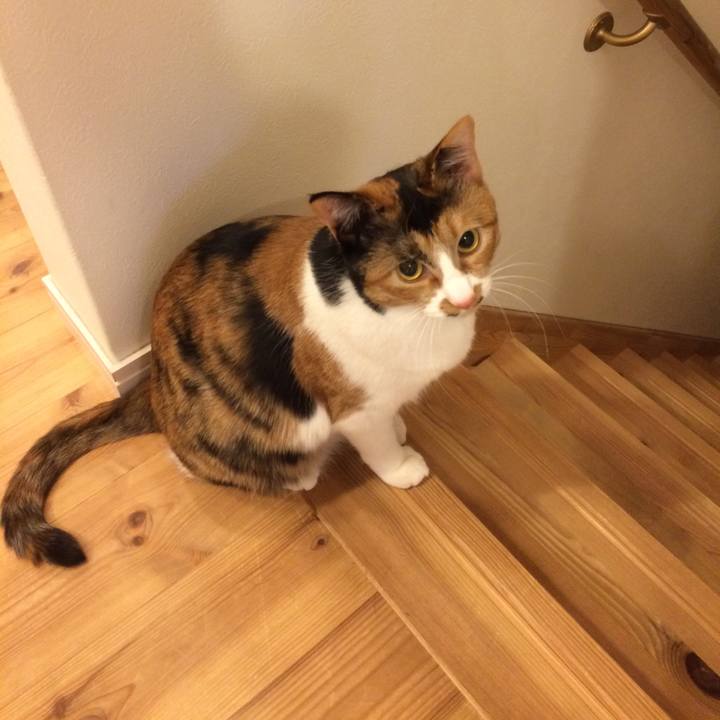 Ea9a2a41 9a89 40d5 a274 e2a89f9ad179