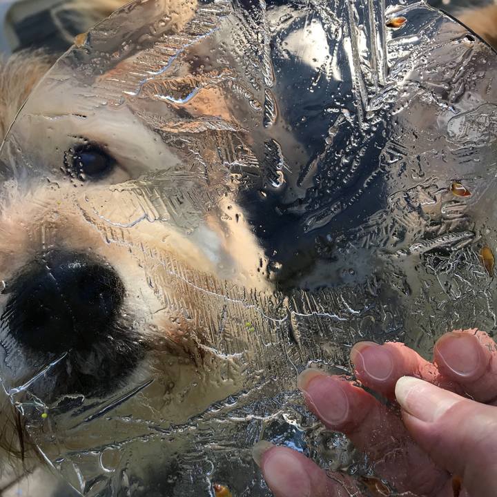 Ea9a89bd 7b39 43d2 90af 2f2c1343bc8c