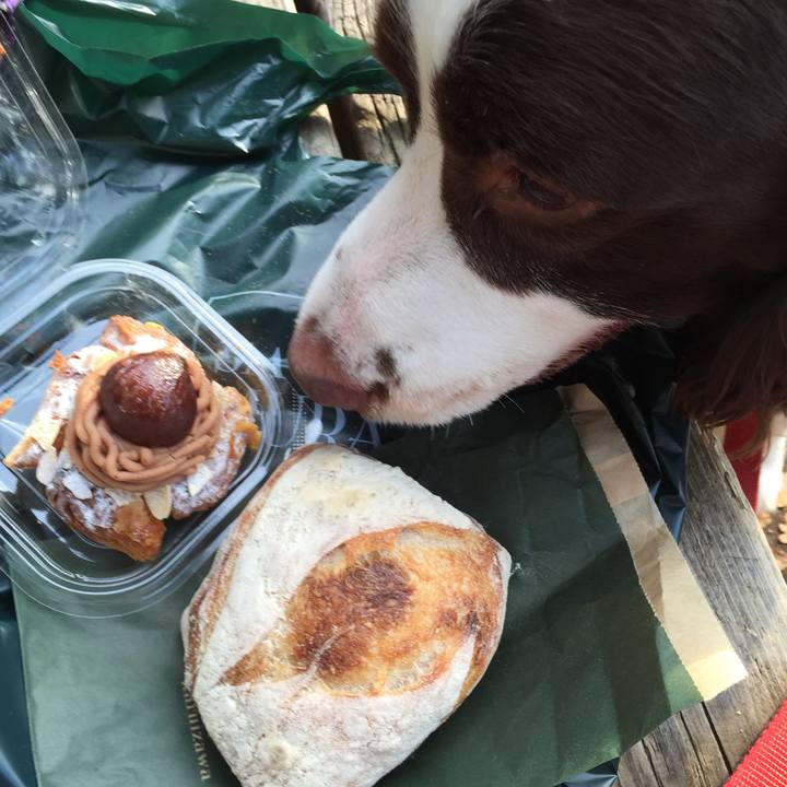 Ea9ae9ac 8fcb 4eff b88a 03050f76a7bc