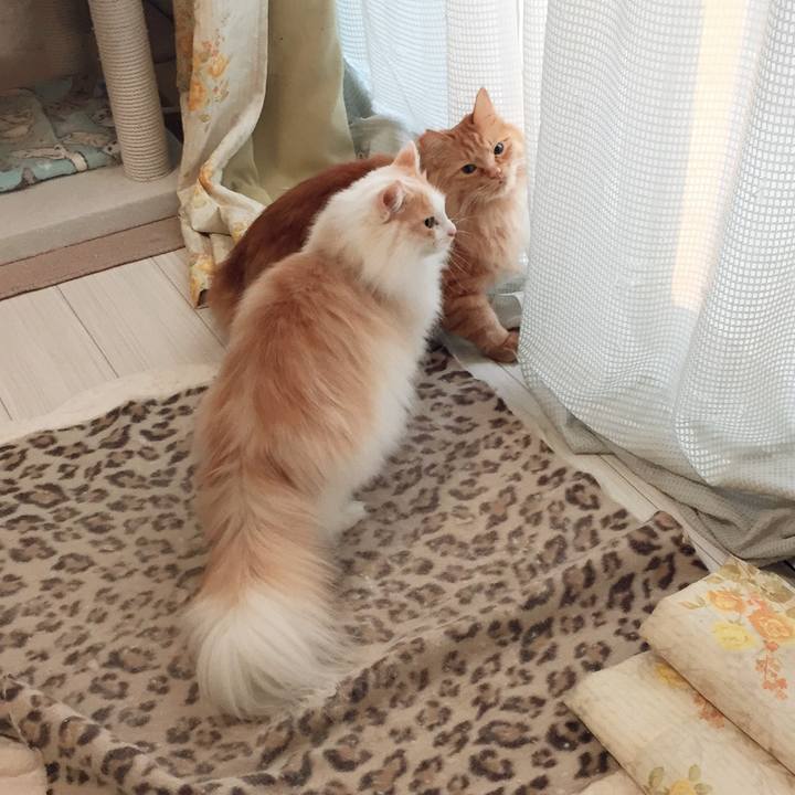 Ea9b108a 0889 422f 91e8 6911c3701d18