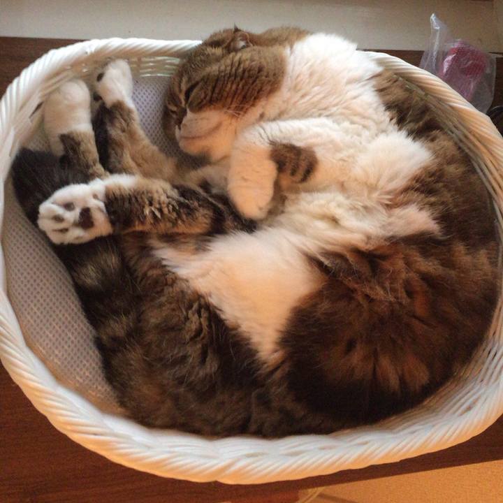 Ea9b226f cb68 4c60 9d4b 0956900b1183