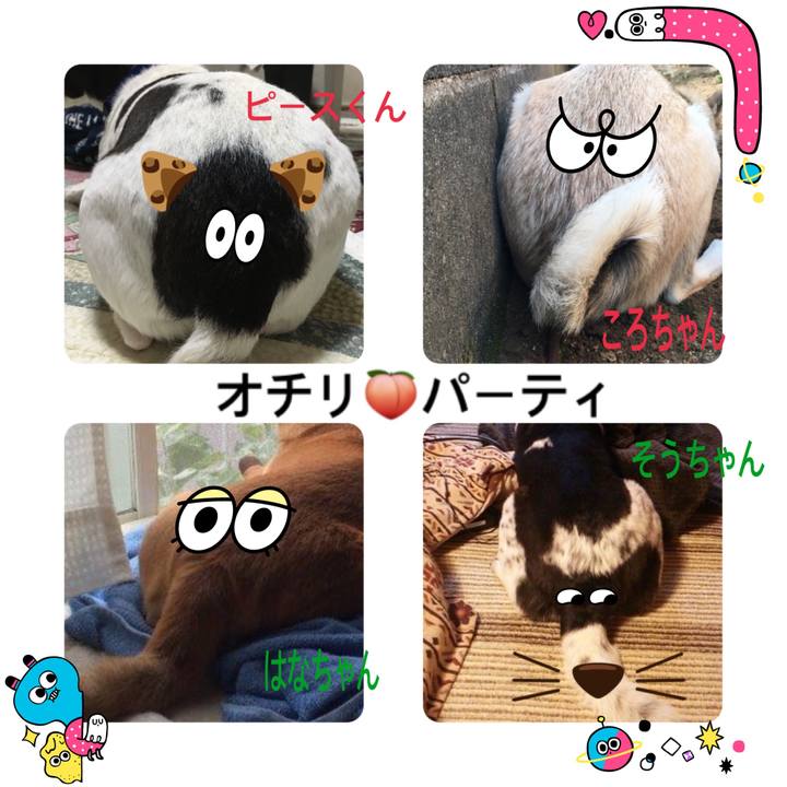 Ea9c7683 bfb4 4e74 8cad e3aa54cf9d29