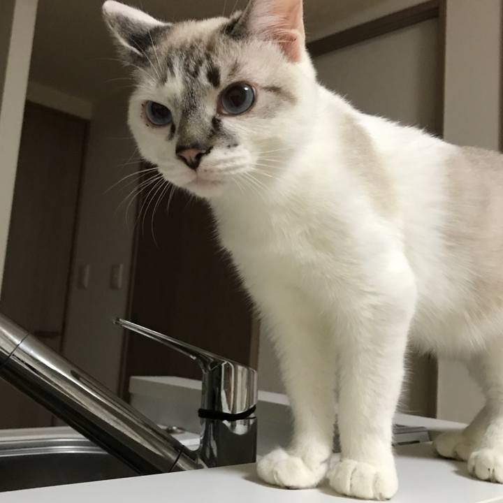 Ea9cb243 363a 4a83 aedf e02ddcfe2376