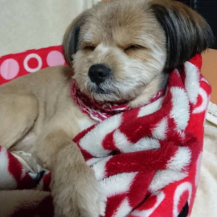 Ea9d499c 3a43 4db4 aa88 65cc35c91223