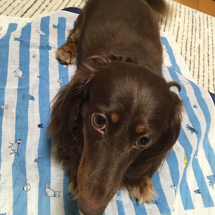 Ea9f044c ff77 45df 8142 7f219552337f